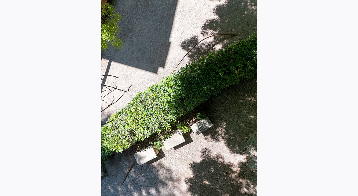 Goen Choi, Corea Pavilion – Bush – Giappone Pavilion, 2026 (special artwork co-commissioned by the artists and curators of the Korean Pavilion and Japan Pavilion). Installation view of presentation in Liberation Space: Fortress/Nest. Photo by Donghwan Kam.