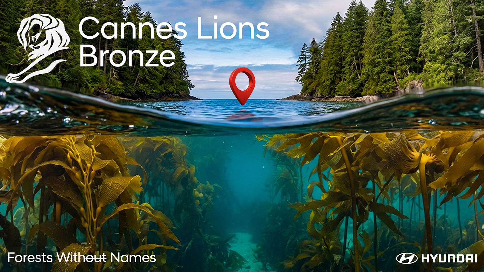 The “Forests Without Names” campaign — winner of the Bronze Lion in the Creative Data category — highlights the plight of sea forests