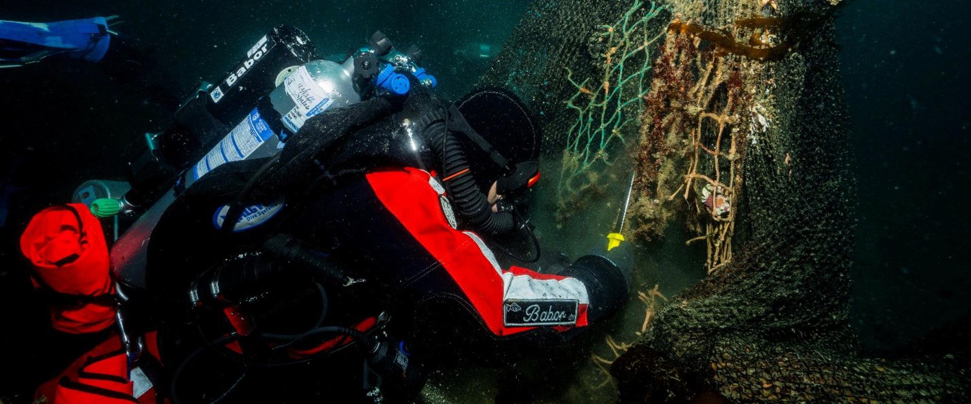 Hyundai x Healthy Seas_Ghost Diving