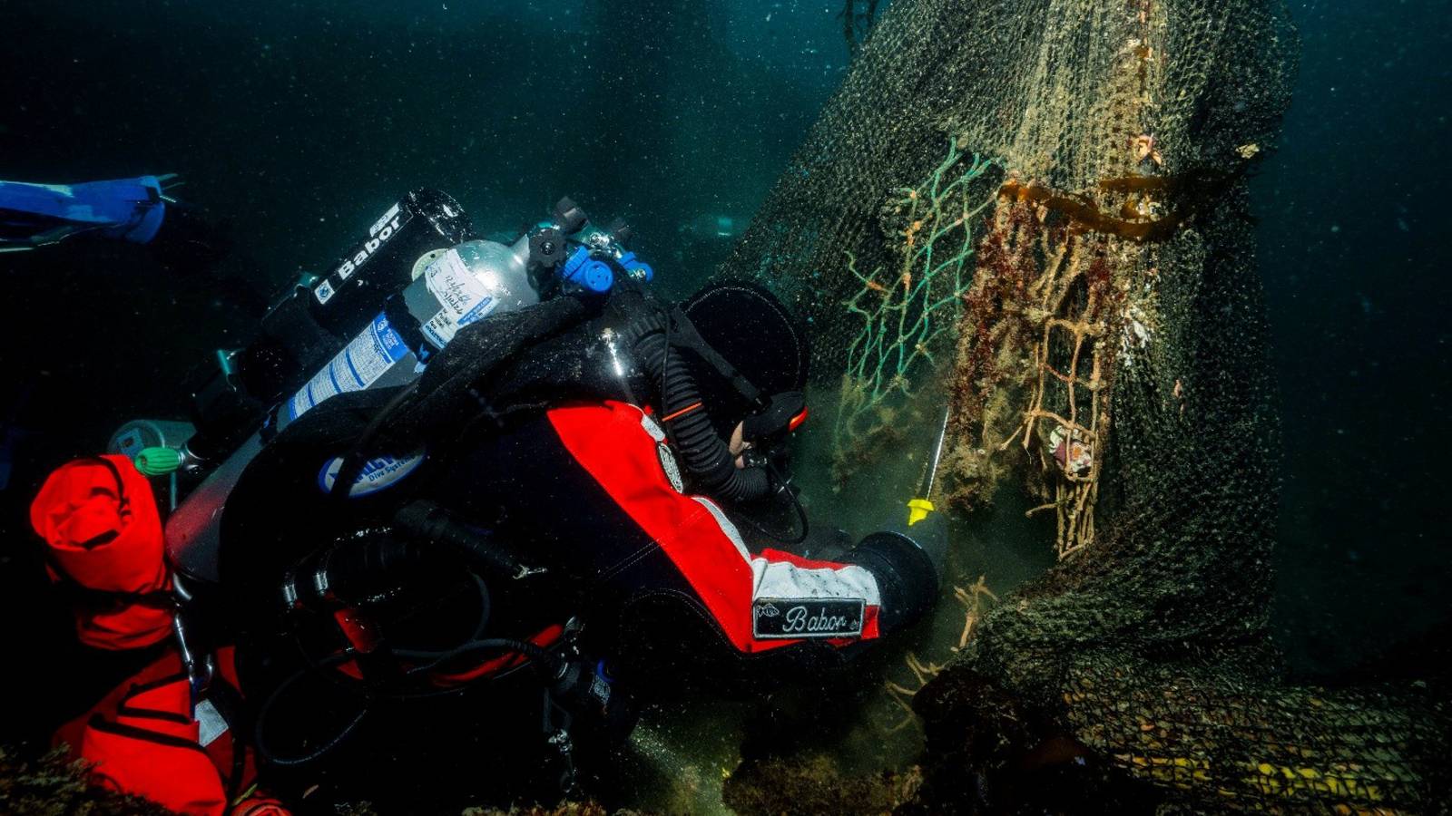 Hyundai x Healthy Seas_Ghost Diving
