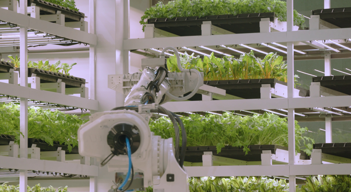 Tucked inside a facility built for robotics and vehicle assembly is a fully automated indoor farm where leafy greens grow under climate-controlled conditions, untouched by weather, pests or soil.